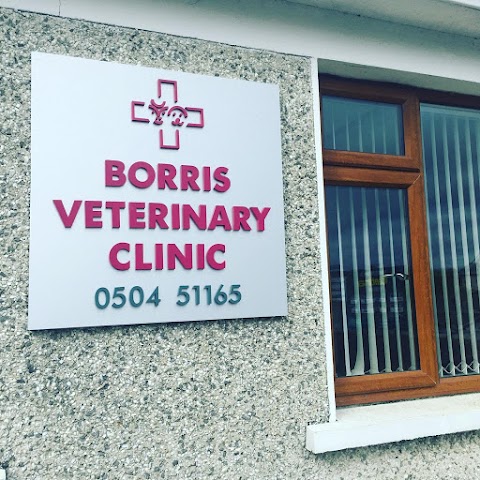 Borrisoleigh Veterinary Clinic