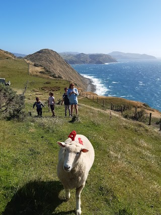 Tussock Ridge Farm Tours