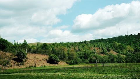 Свято-Введенський жіночий монастир