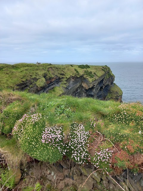 Bromore Cliffs