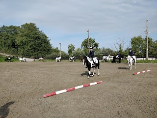 Warrington Equestrian Centre