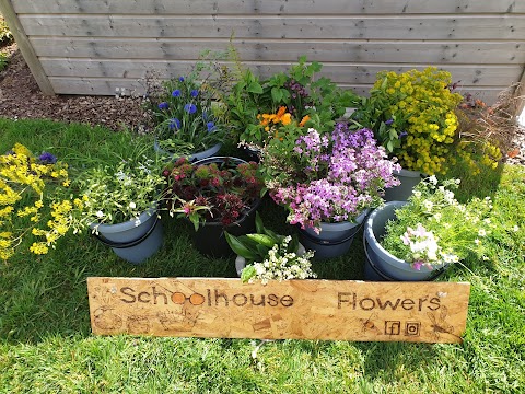 Schoolhouse Flowers