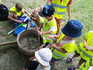 Young Leaders Early Education Academy