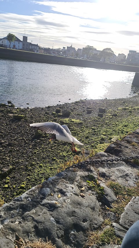 Water Safety Ireland