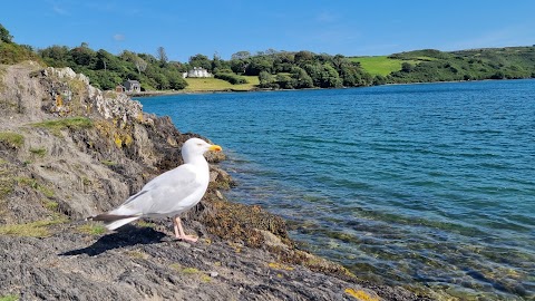 Atlantic Sea Kayaking - Lough Hyne