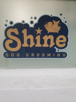 Shine Dog Grooming