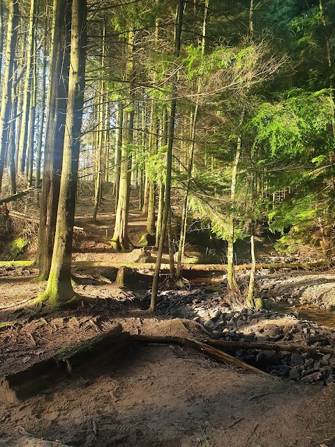 Monicknew- Slieve Bloom Mountain’s track