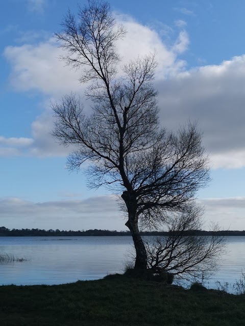 Ladestown Shore Parking