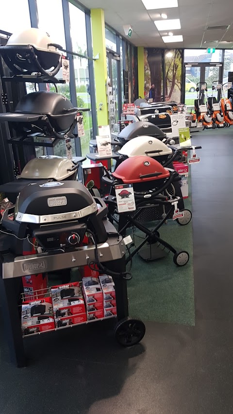 STIHL SHOP Albany