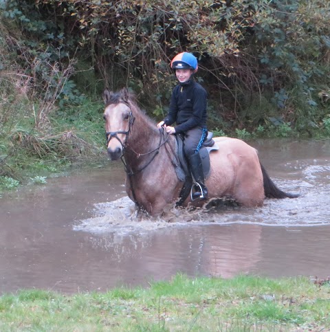 Valley View Equestrian Centre