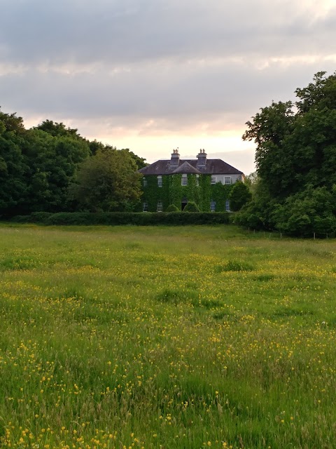 Lisdonagh House