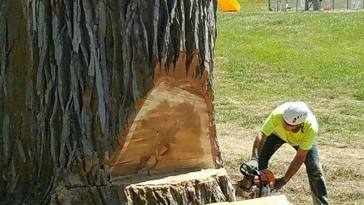 American Tree Care LLC, Emporia, KS