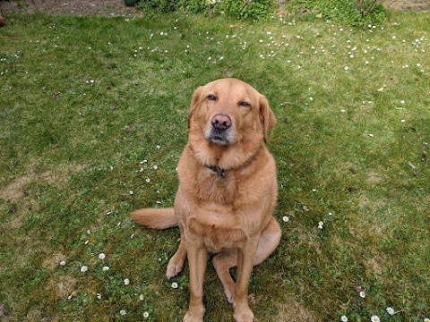 Portumna Vet Clinic