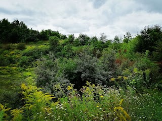 Śląski Ogród Botaniczny w Radzionkowie