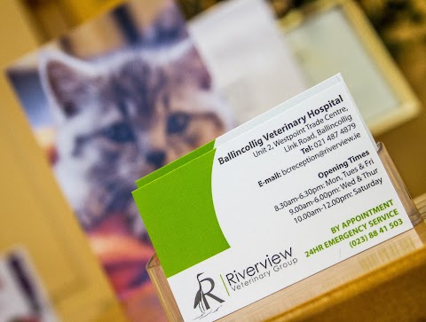 Riverview Veterinary Hospital Ballincollig Cork