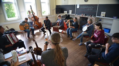 Traditional Irish Music School