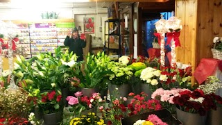 Four Seasons Florists/Leitrim Flowers