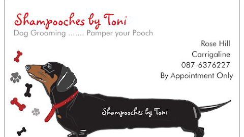Shampooches by Toni, Dog Grooming