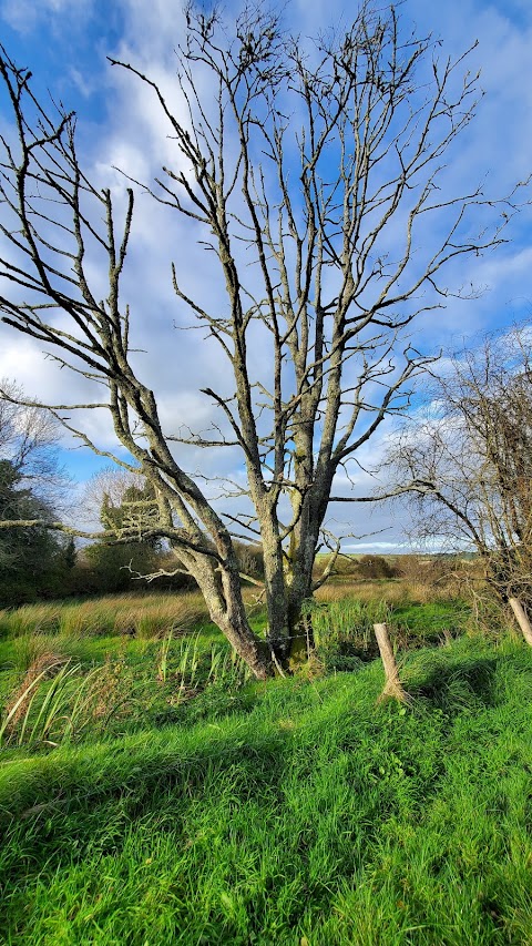 Dromkeen Cross Carpark(Carrchlós Chrois Dromkeen)