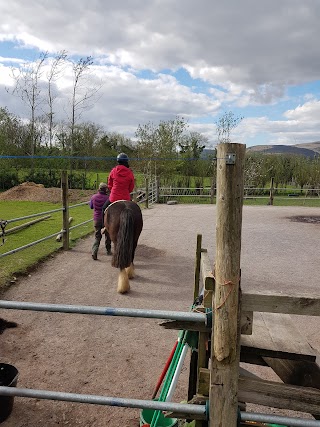 Hairy Henry Therapeutic Riding