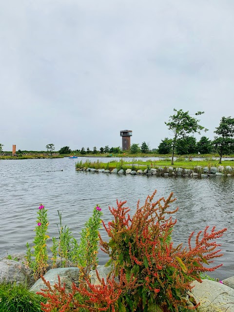 Tralee Bay Wetlands Eco & Activity Park