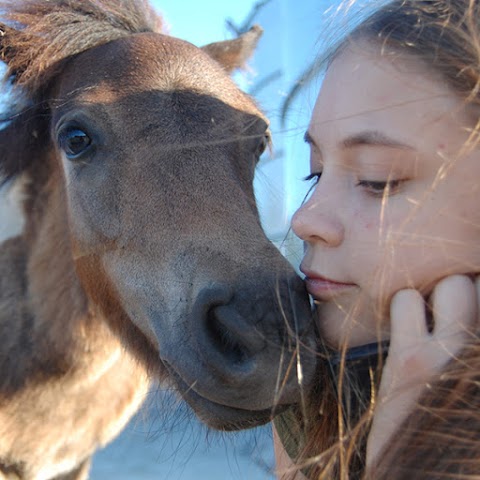 Кінний дитячий табір Like Horses Camp