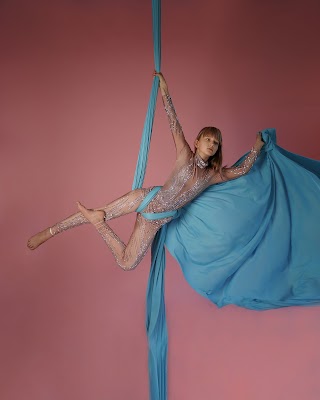 Music & Motion Aerial Dance Studio