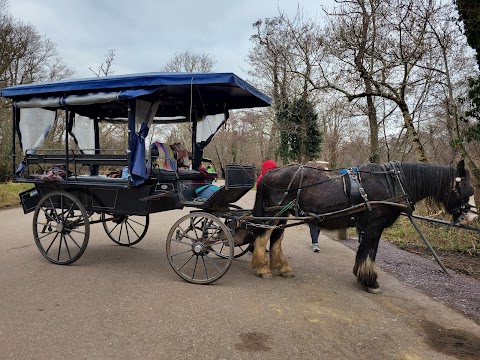 Killarney Jaunting Cars - Tangney Tours