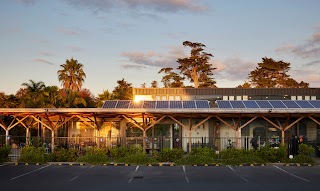 New Shoots Children's Centre - Pakuranga / Botany