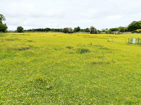 Burren Nature Sanctuary & Cafe