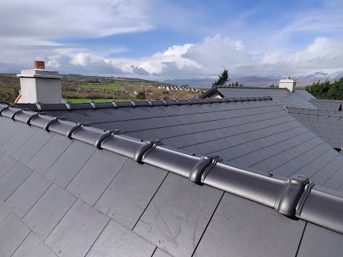 Kerry Roofing Services