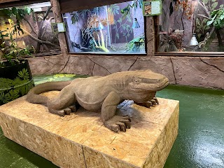 The National Reptile Zoo