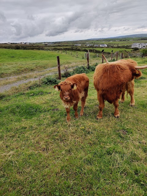 Moher Hill Open Farm and Leisure Park