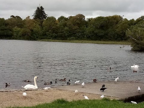 Back Avenue Doorly Park, Pier on the Garavogue