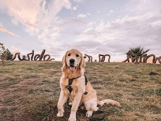 Canberra Retreat Bed and Breakfast