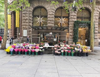 Flowers On Martin Place