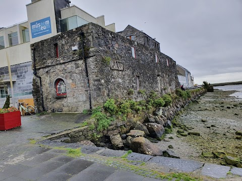 Galway City Museum