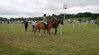 Cork Show Grounds