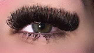 Luxe Lash and Beauty Boutique