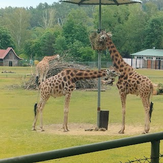 Gdański Ogród Zoologiczny