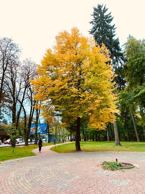 вул. Пасічна