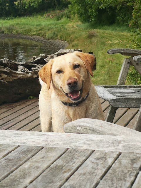 The Fish House (holiday cottage)