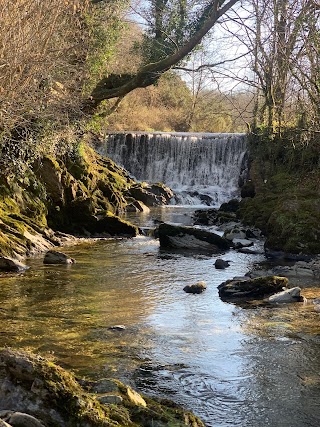 Silver River Gorge