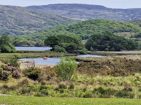 Killarney Boat Tours