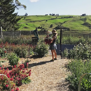 CROP Flower Farm