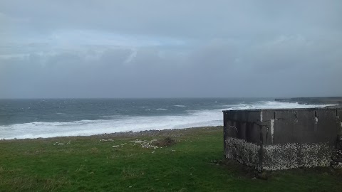 Orchid House, Fanore