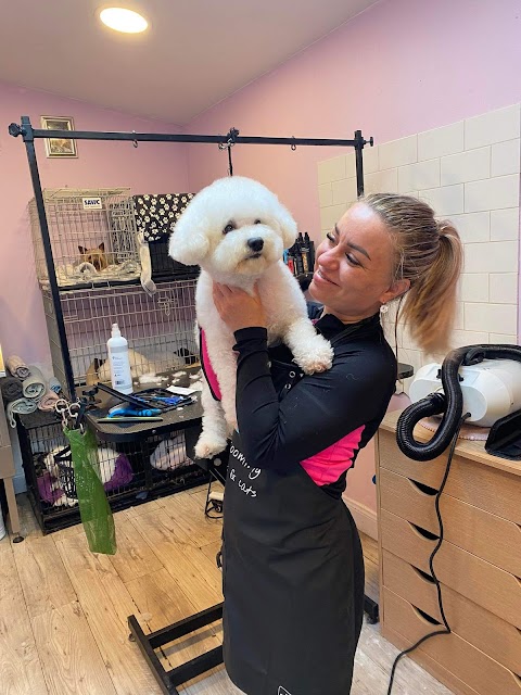 Glamour dog grooming salon