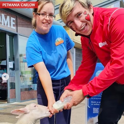 Petmania Carlow, Grooming, Nutrition & Pet Store