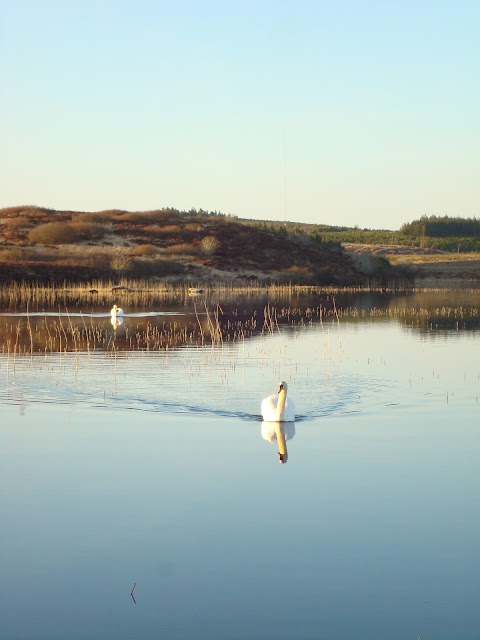 Cnoc Suain