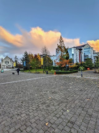 Cork University Business School